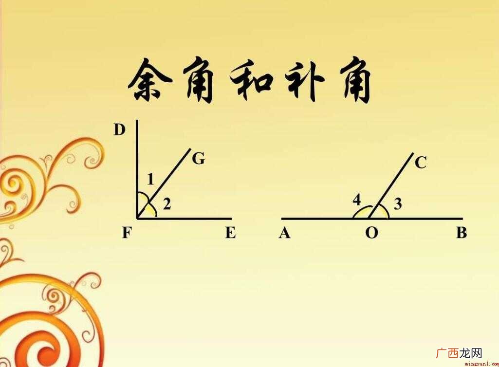 初一数学主要包括哪些内容