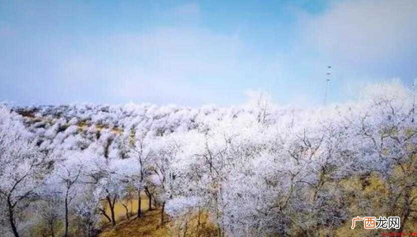 心心念念是什么意思