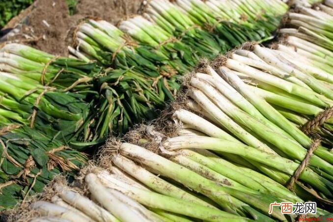 铁岭的特色产品有什么? 铁岭的特产有哪些