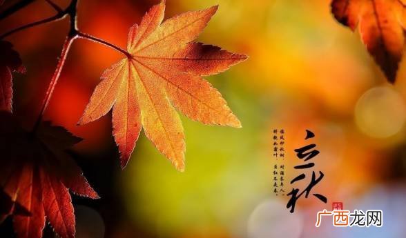 立秋之后是什么节气,处暑之后是什么节气？