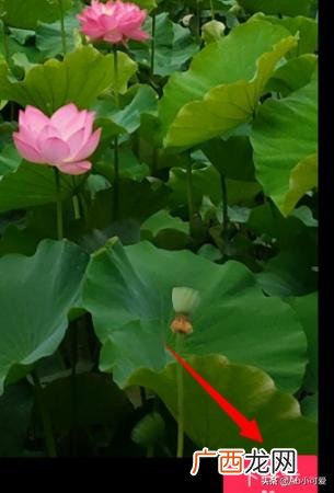 抖音如何拍视频方法,抖音中的图片视频怎么拍？