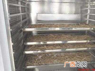 鲜金银花怎么制干