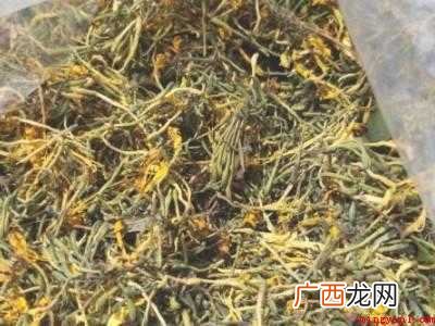 鲜金银花怎么制干