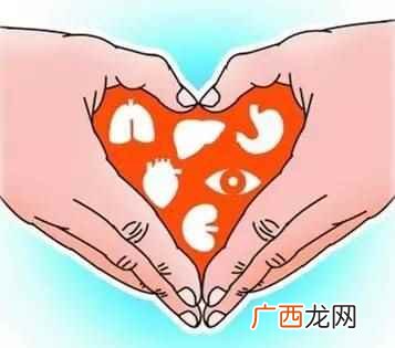 天津市人体器官捐献条例 器官捐献补偿金给多少