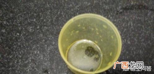 水晶泥用牙膏怎么做,怎么用洗发露牙膏做水晶泥？