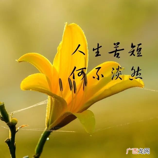早上好高情商句子,撩人情话女撩男高情商的早安问候？