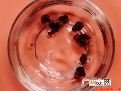 桃树脂怎么吃