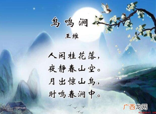 《鸟鸣涧》的赏析是什么