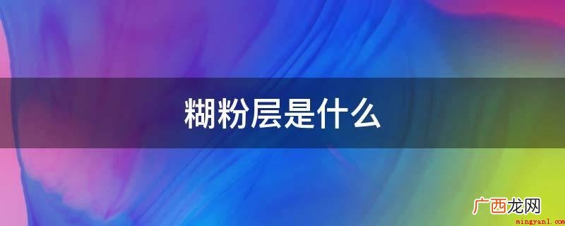 糊粉层的营养成分有哪些? 糊粉层是什么