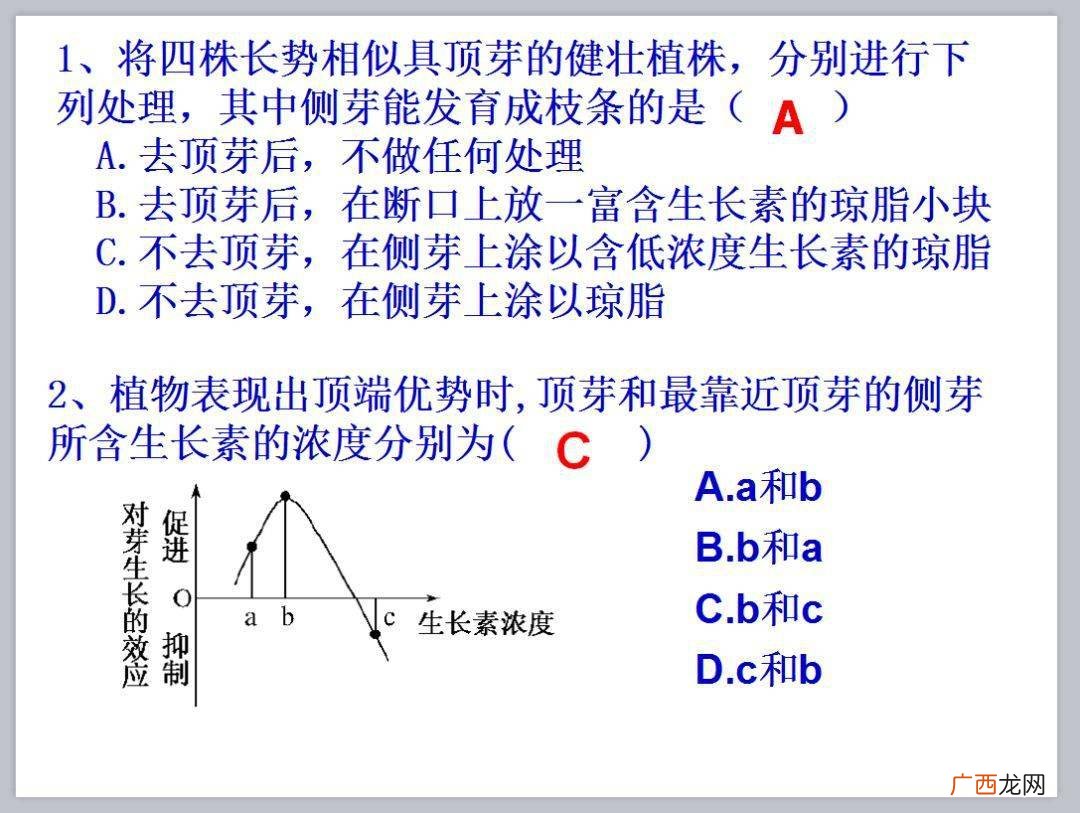 生长素的生理作用知识点总结,生长素和赤霉素主要是通过促进什么而促进生长？