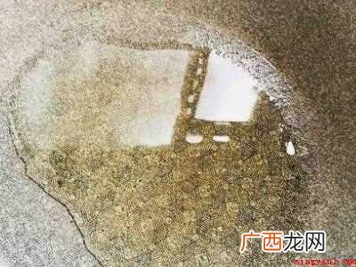 茶油怎么吃法