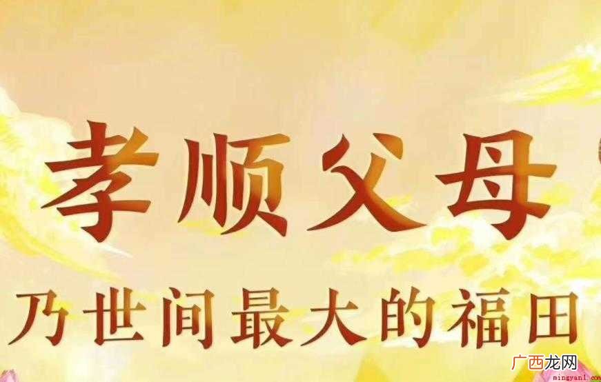 孝顺的意思是什么