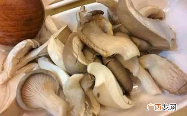 平菇要不要焯水那么根据的介绍大家也知道了 平菇要焯水吗