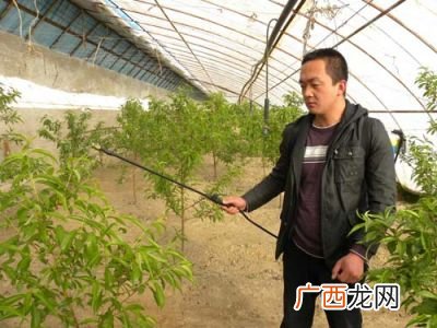 农村创业的好项目,13个适合农村创业的项目？