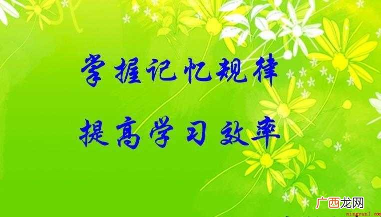 怎样才能提高学习效率