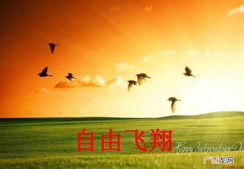 《自由飞翔》歌词是什么