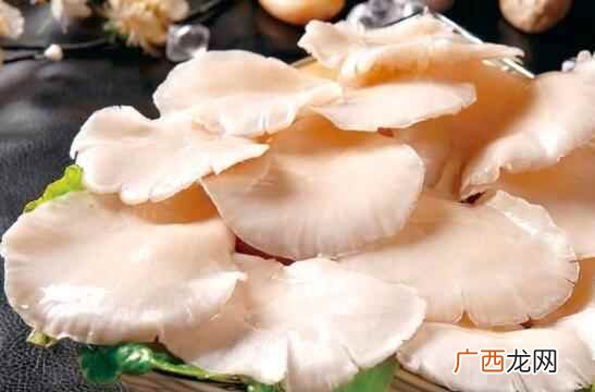 平菇是蘑菇吗 平菇就是蘑菇吗