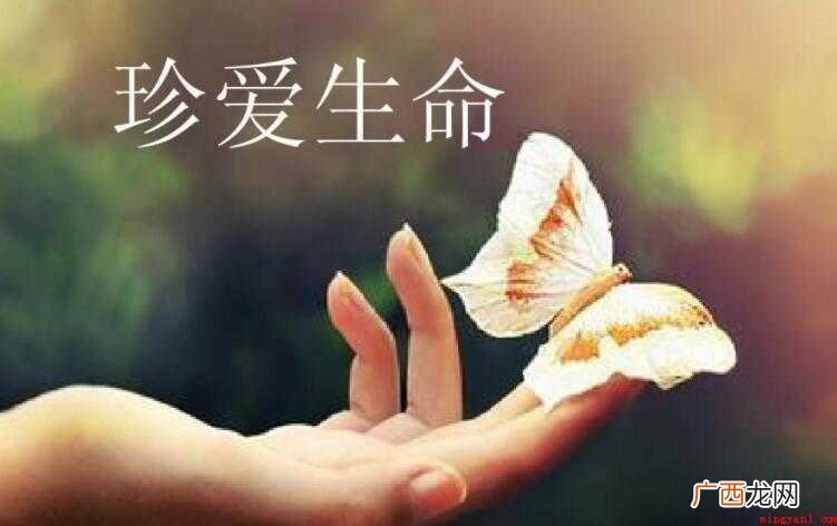 如何教育孩子珍爱生命