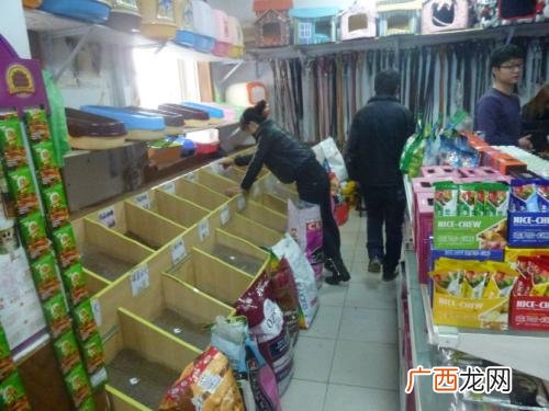 全国最大的宠物用品批发市场在哪,宠物粮批发市场好做吗？