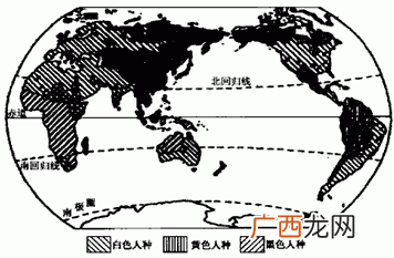 白种人主要分布在哪里,亚洲的白色人种主要集中在什么地区？