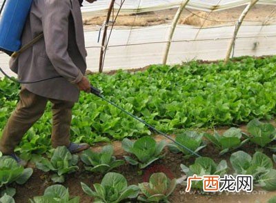 最毒的农药叫什么,哪些氯化物有毒？