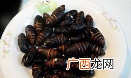 蚕蛹的吃法,蚕蛹的家常做法简单好吃？