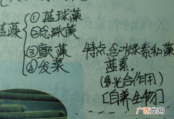 蓝藻是自养型生物吗,蓝藻属于自养型的原核生物？