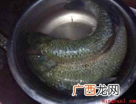 过春节不但要炸小酥肉,还需要炸鱼块 怎样油炸鱼块