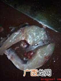 过春节不但要炸小酥肉,还需要炸鱼块 怎样油炸鱼块