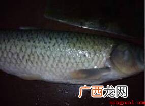过春节不但要炸小酥肉,还需要炸鱼块 怎样油炸鱼块