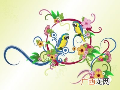 插画是什么,插画是什么?