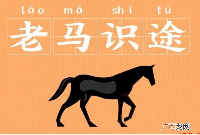 老马识途是什么意思?_人文频道 老马识途是什么意思