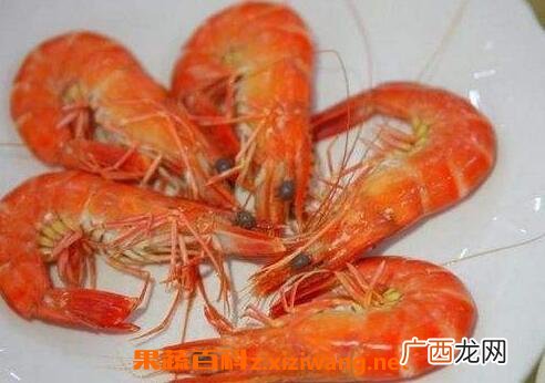 九节虾的功效与作用,九节虾的烤虾好不好？