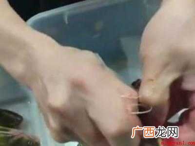 黄骨鱼怎么处理才干净