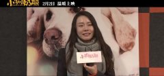 小狗奶瓶电影结局,如果母狗没有奶水了小狗喝什么好？