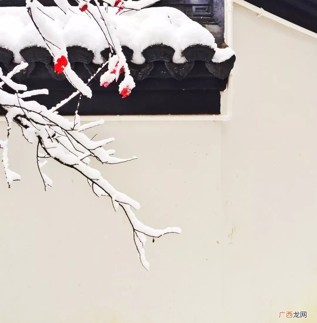 柴门闻犬吠吠怎么读,逢雪宿芙蓉山主人古诗带拼音？