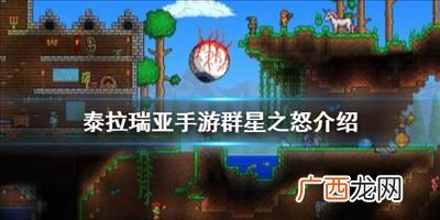 泰拉瑞亚狂星之怒怎么做,泰拉瑞亚战士武器大全？