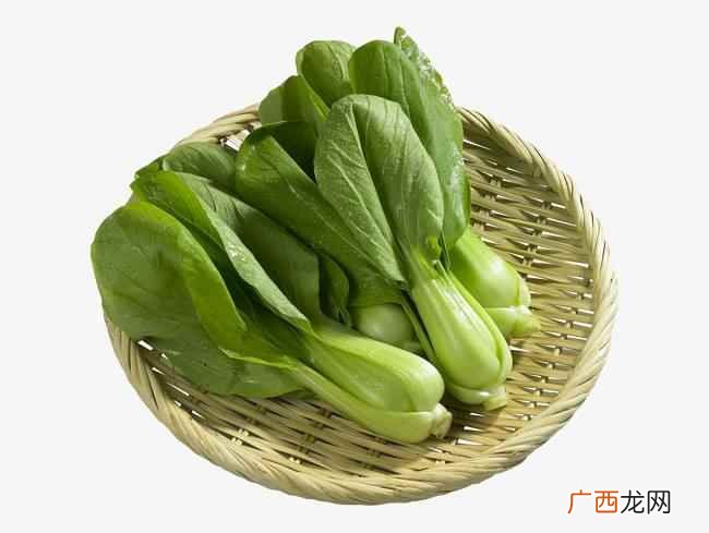 上海青是寒性食物吗 上海青属于寒性食物吗