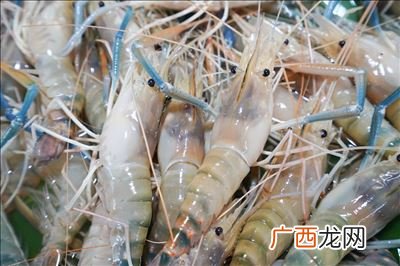 虾线是什么,什么是虾线?虾线能吃吗?