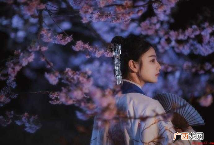 如花美眷是什么意思