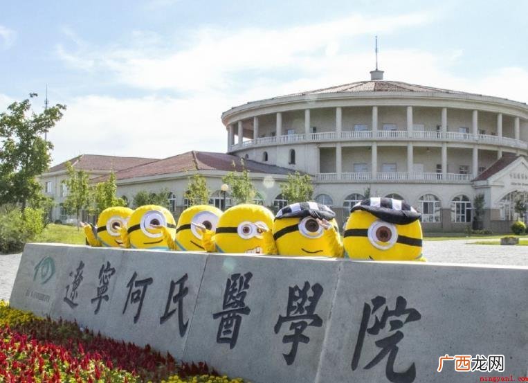 沈阳何氏医学院怎么样