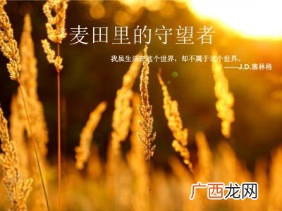 麦田里的守望者名句,麦田守望者经典语录卑微的活着？