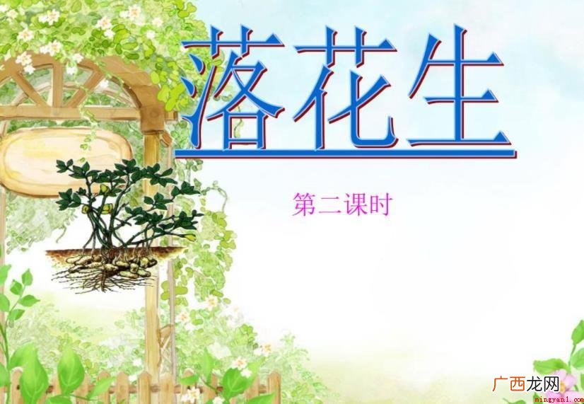 《落花生》的主要内容是什么