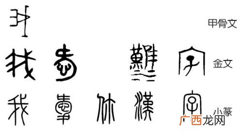 甲骨文是什么,名词解释甲骨文？