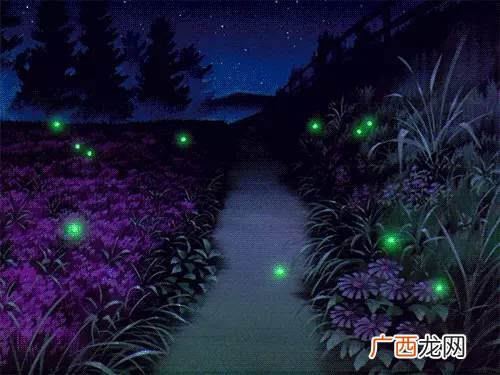 萤火虫为什么白天不发光,萤火虫白天在干什么?是在休息吗?或者他们什么时候休息？