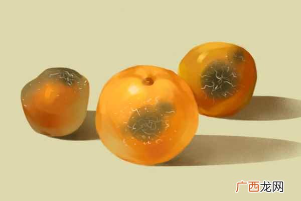 备孕不能吃什么