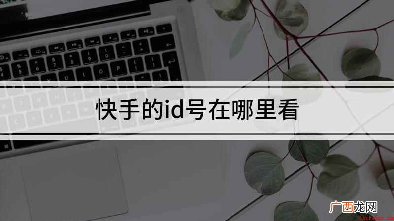 快手的id号在哪里看