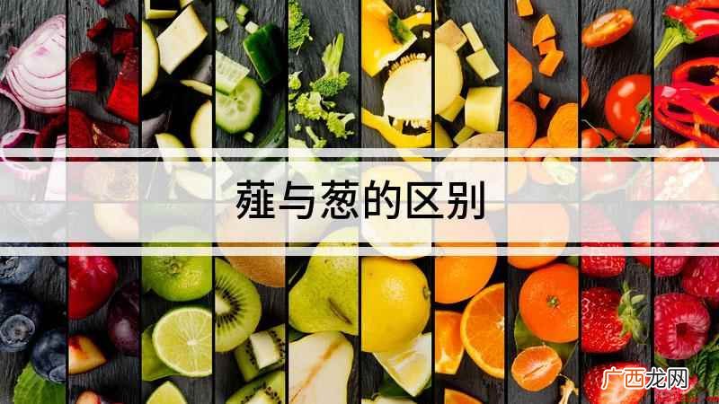 薤和葱的区别 薤与葱的区别