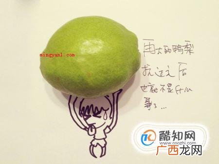 人生最重要的是哪些,不能片面强调! 人生最重要的是什么