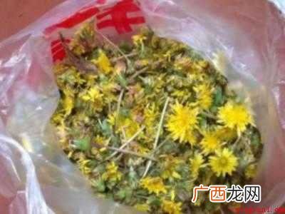 婆婆丁花怎么晒干